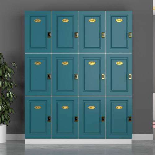 孔雀蓝更衣柜健身房木质员工储物柜浴室洗浴中心鞋柜带锁瑜伽柜子