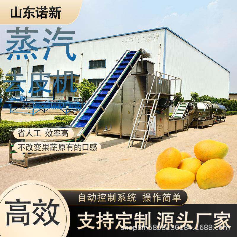 全自动果蔬削皮机红薯去皮机山楂罐头成套生产设备