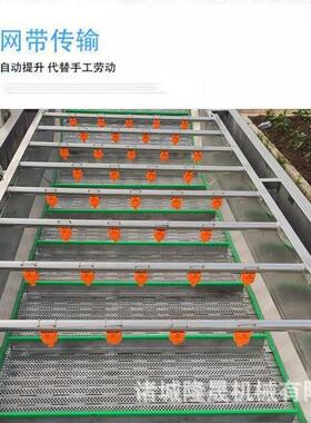 清圣女果全自动气泡机 机黄瓜冲浪式无损伤清洗BSH 辣洗椒高压气