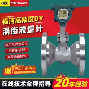 DY涡街流量计高温蒸汽天然气压缩空气沼气氧气高精度计量表