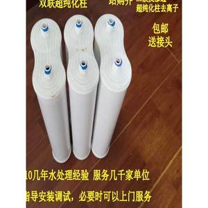 纯水机超纯化柱去离子水18.25纯水柱实验室生化仪水机耗材滤芯