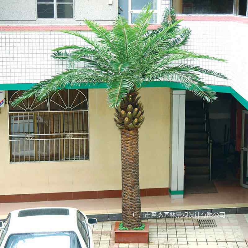 广州仿真海枣树大型水上乐园特色热带仿真树造景 仿真中东海枣树