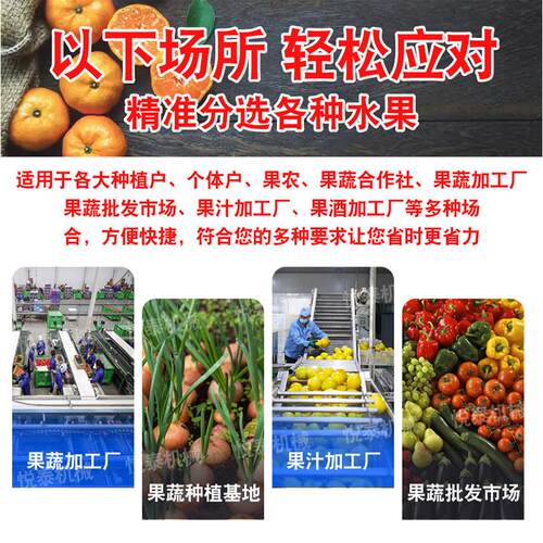 商柚用土洋分级筛选机西刺梨分选机大葱型滚杠青SGI核桃筛选豆机