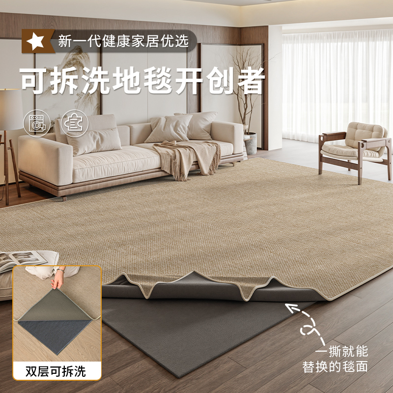 可拆洗地毯客厅双层可机洗水洗2025新款简约纯色沙发卧室家用地垫