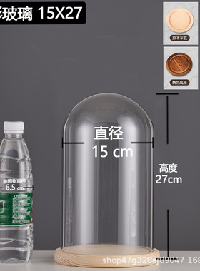 厂家跨境永生干花玻璃装饰摆件