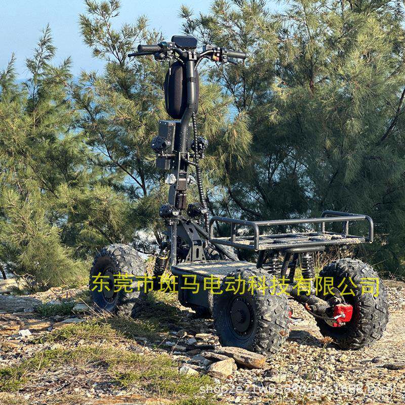 厂家四驱多能大功率高速轮电动快越野滑板摩托沙滩户外掠夺者车
