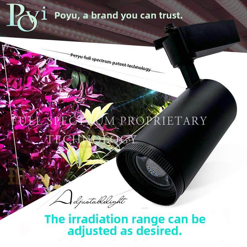 Poyu植物生长灯室内轨道Led全光谱绿色植物墙鹿角蕨类龙舌兰兰花