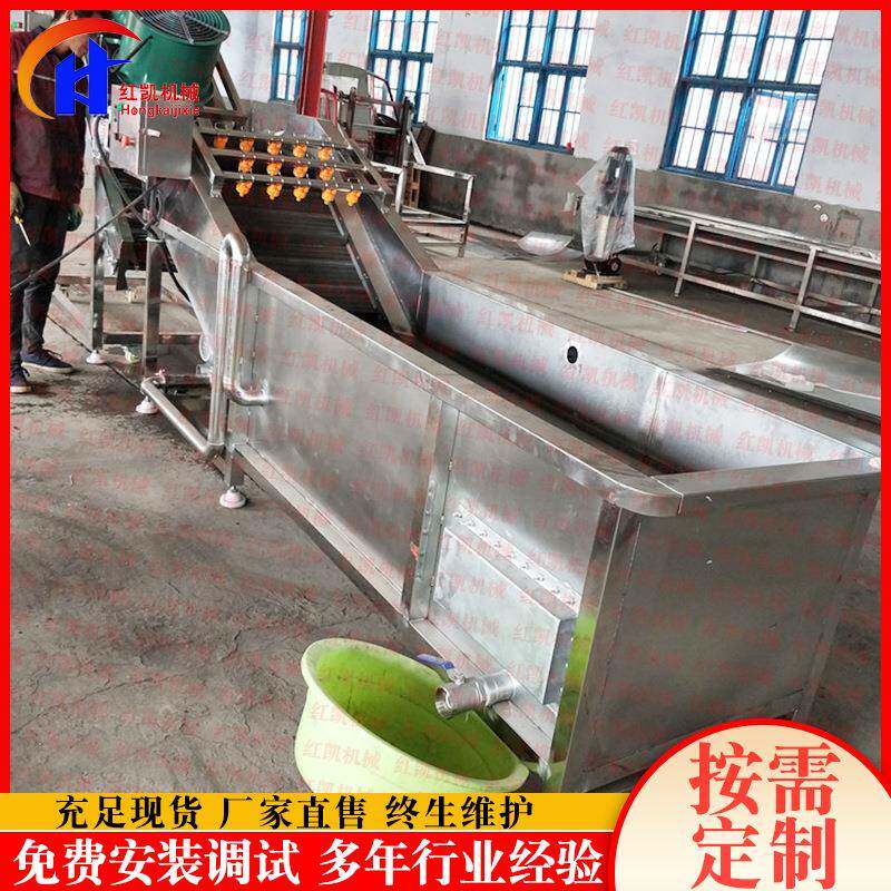 升级款油麦菜清洗机鼓泡式清洗机连续式高压喷淋气泡清洗机