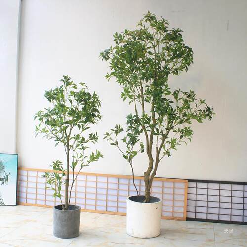 仿真马醉木中式服装酒rd657259店植客日厅橱窗落花艺造景地绿物塑