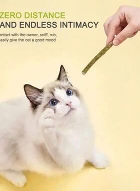 6pcs Natural Matatabi Cat Stick Mint Caught Bite Excited Rod