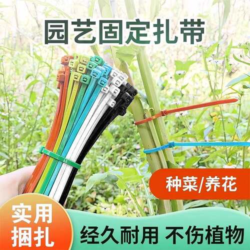 Reusable Adjustable Nylon Cable Ties, Removable Colorful Pla