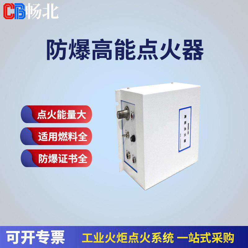锅炉点火器空防爆30J能点火能量防爆型工业燃烧器点火装置