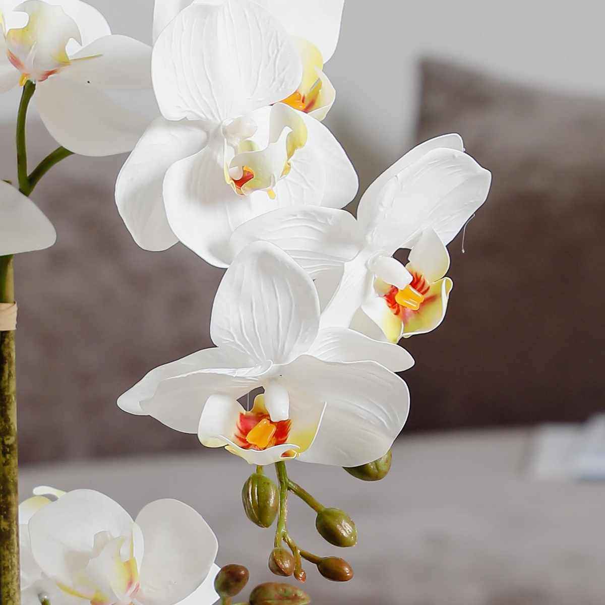 蝴蝶兰盆栽仿真花兰花蓝色带花盆高级感客厅桌子花束装饰品假花
