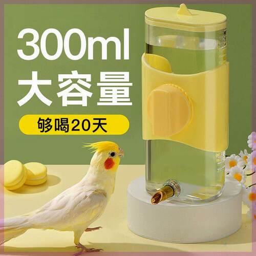 鸟用饮水器喝水鹦鹉喂水器撞针自动大号水壶玄凤龙猫喂鸟器用品具