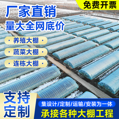 大棚骨架钢管全套温室支架拱杆养殖蔬菜大棚连体连栋棚椭圆管定制