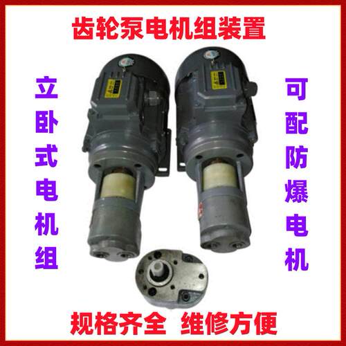 LWBZ-10齿轮泵电机组装置YS8104-B350.55KW电机防爆机组整套