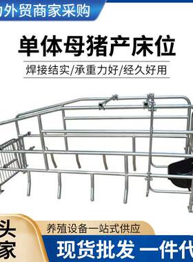 单体母猪产床位新款热镀锌管母猪产床分隔围栏现货供应母猪产床位