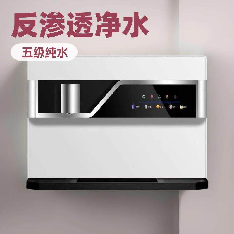 速热净水器高级家用直饮 RO反渗透净水机壁挂既热一体工厂直发
