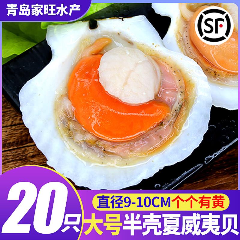 带壳扇贝超大新鲜半壳冷冻夏威夷贝特大扇贝王烤烧食材贝类粉丝
