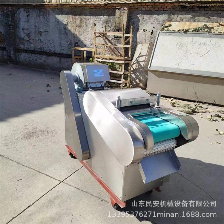 材灵芝生姜丹参切片机 柠檬皮陈皮切丝机 果脯话梅红枣切丁机