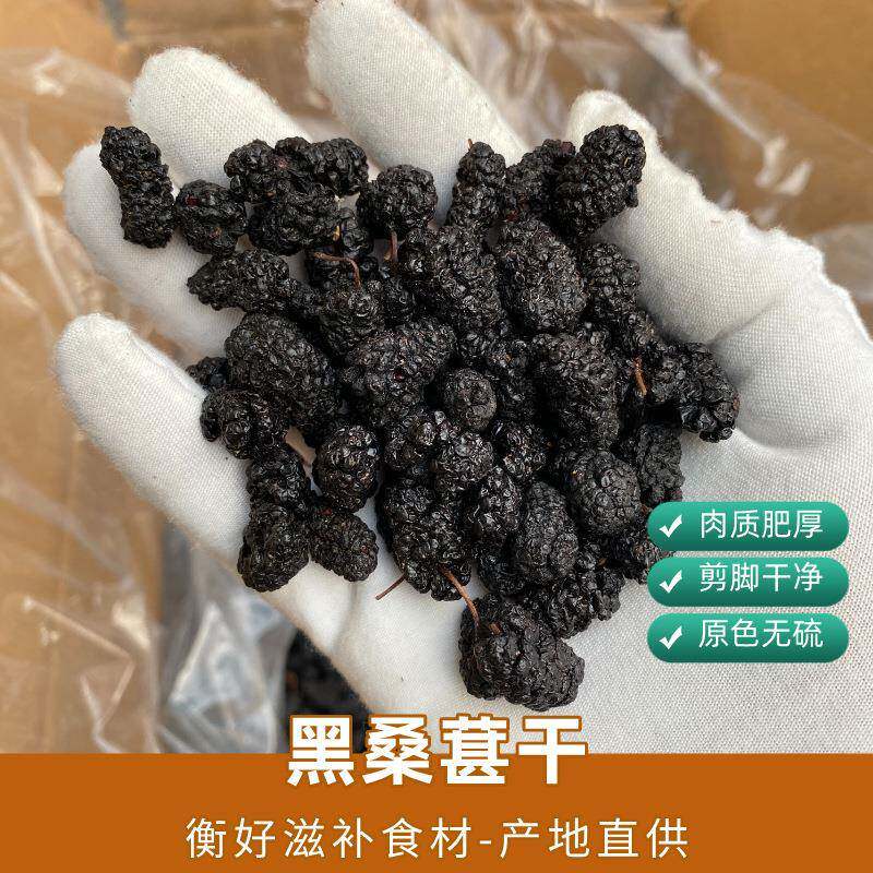 新货桑葚干四川黑桑葚 沙黑桑椹泡酒泡水喝桑甚干产地直销