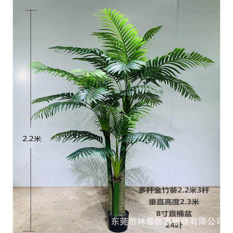 仿真金竹葵仿真植物盆栽仿真富贵葵室内装饰绿植凤尾葵供应