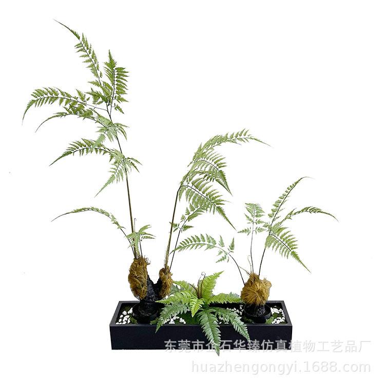 仿真植物造景组合大型猴头蕨商场酒店橱窗旅人蕉装饰景观