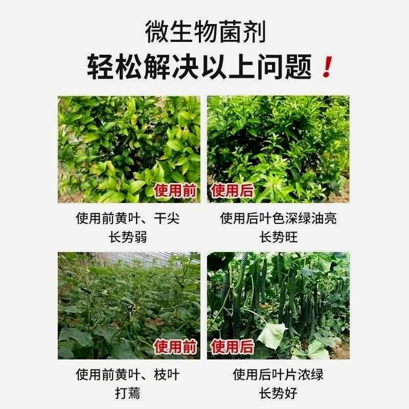 2000亿枯草芽孢杆菌10kg/20kg微生物菌剂水产养殖农业种植菌肥