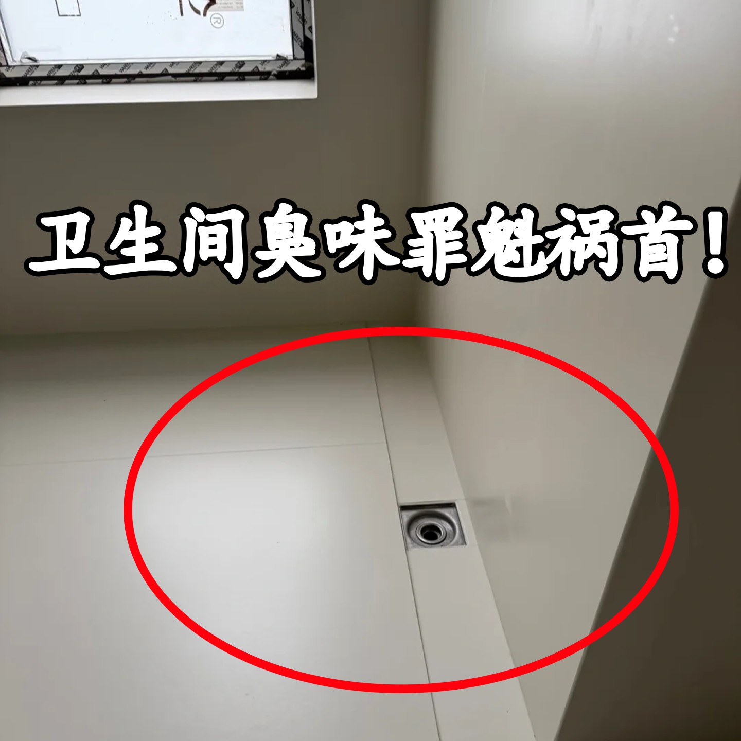 地漏防臭卫生间通用断层加长内芯浴室止逆阀下水道防其它卫浴配件