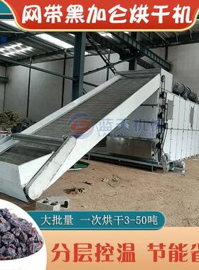 黑加仑烘干机网带式全自动新疆葡萄干脱水烘干设备黑醋栗干燥机