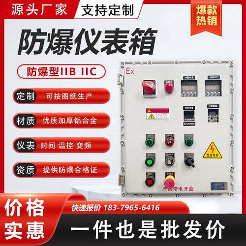 防爆温控仪表配电箱时间定时控制柜PH计变频器转速表接线箱EX定制