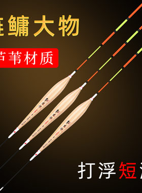 鲢鳙专用鱼漂浅水青鱼浮浮浮浮漂