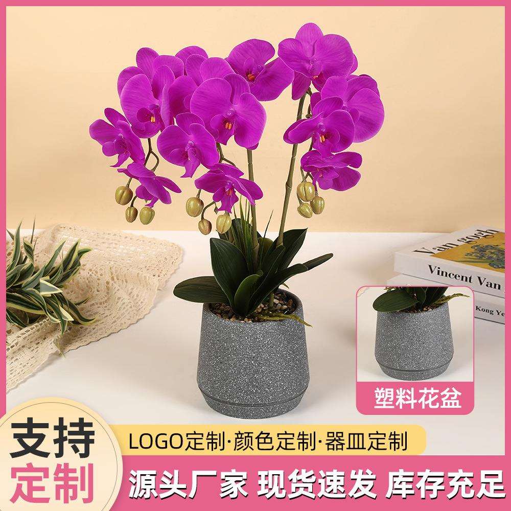 塑料手感胶蝴蝶兰盆景结婚用花布置绿植盆栽室内客厅装饰仿真花盆