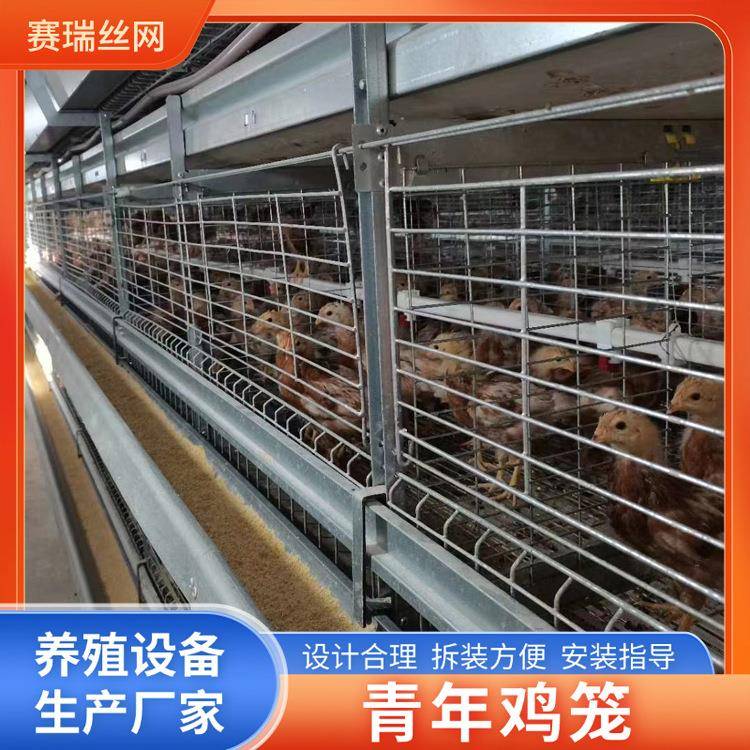 自动喂料全自动肉鸡笼青年鸡育雏鸡笼养殖场鸡笼养殖设备鸡笼