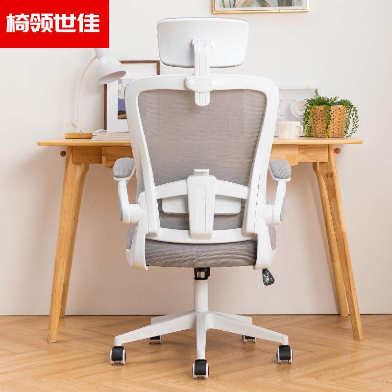 人体工学家用办公椅透气网电脑椅久坐不累升降会议椅学生学习椅子