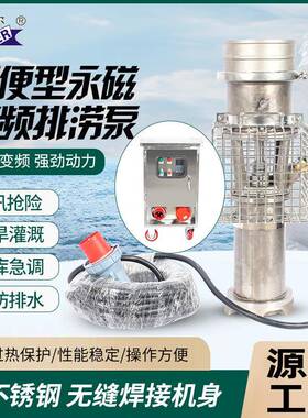 大流量高扬程便携式磁变频防汛泵潜水泵高速抗洪抗涝抢险潜水泵
