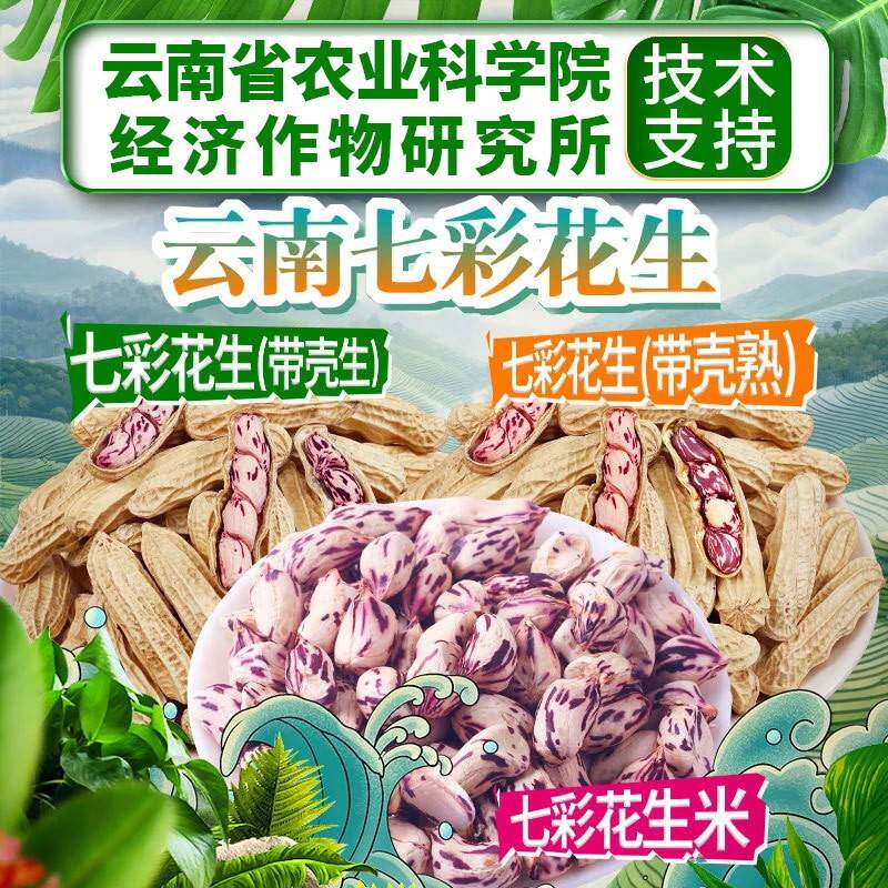 新货云南七彩花生米商用晒干彩带壳花-花熟生生普洱孟连七特产