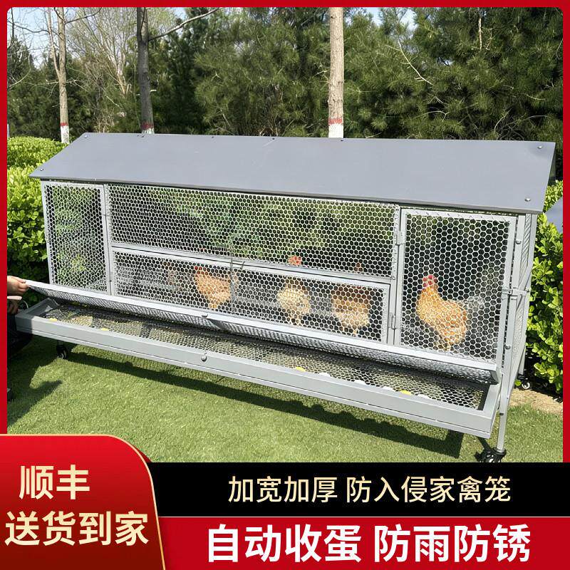 鸡笼子家用室外防雨自动收蛋防啄防黄鼠狼防鼠加厚不锈下蛋养殖笼