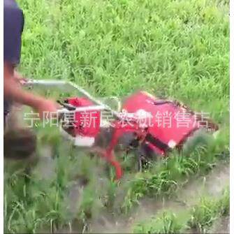 水稻田用除草机两行三行水田打草机四冲程水稻除草机有操作视频