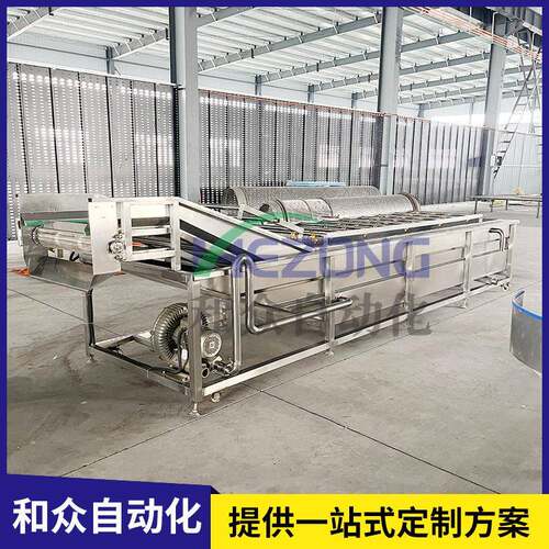全自动气泡清洗机荔枝龙眼草莓蔬菜清洗机全自动不伤皮喷淋清洗机