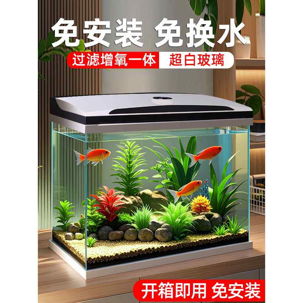 超白玻璃生态鱼缸过滤制氧一体机家用客厅2025新款小型桌面水族箱
