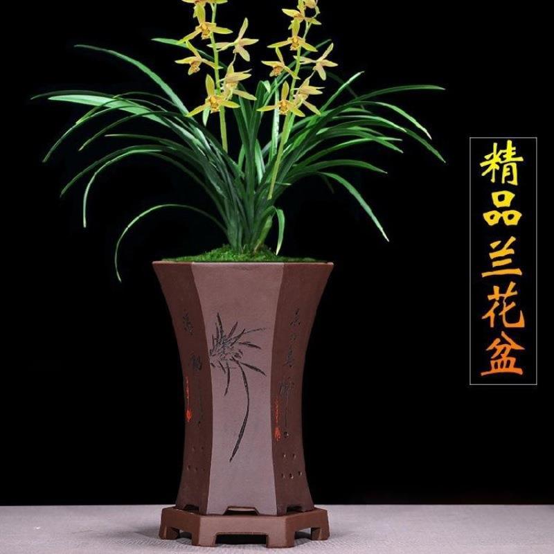 兰花专业盆精品紫砂兰花盆君子兰带托盘兰草盆景陶瓷盆栽室内客厅