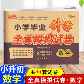 小学毕业升学全真模拟试卷数学五5六6年级进阶训练冲刺名校题型新颖训练科学名校一线创新试卷小升初测试卷68所