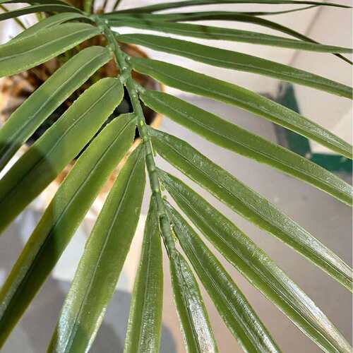 SWK001销真绿植办热公室绿仿植装饰家居客装扮厅造景落地盆栽假树