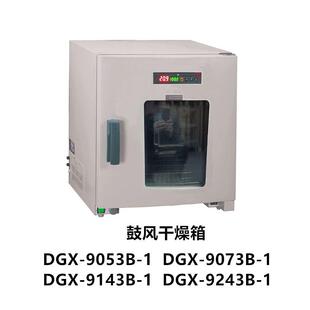 DGX 1样品水分烘箱DGX 9243B 1电热鼓风干燥箱 9143B