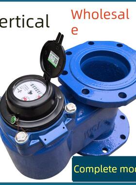 旋翼式DN50 65 80 100mm 2寸 4寸立式水表 冷水 热水竖式 法兰接