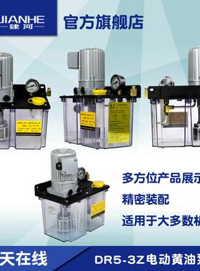润滑泵380V油脂泵90W电动润滑泵DR5-3Z注塑机电动稀油润滑泵