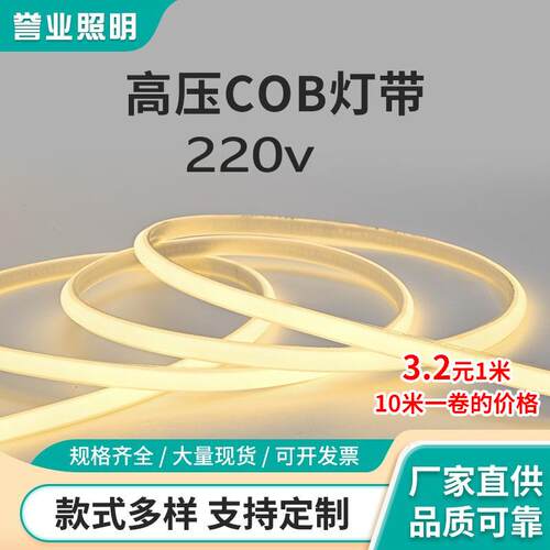 10米COB灯带220v防水线性高压PVC软灯条户外工程COB灯带
