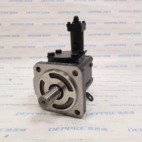 德国RICKMEIER瑞克梅尔 油泵 R45/80 FL-Z-DB16-W-SAE2-R-P 47401