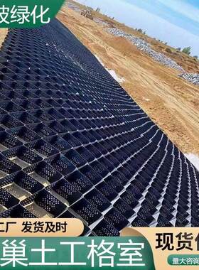 蜂巢土工格室HDPE片材边坡防护护坡网格带排水孔稳固河床土工格栅